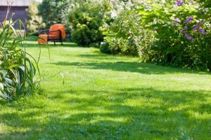 travaux jardin et paysage Moyon